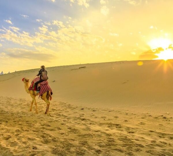 camel riding