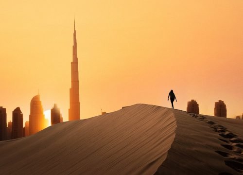 Dubai Finest Top 10 Safari Services: 2024 Update