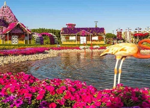 Miracle Garden