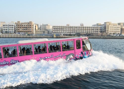 WONDER BUS